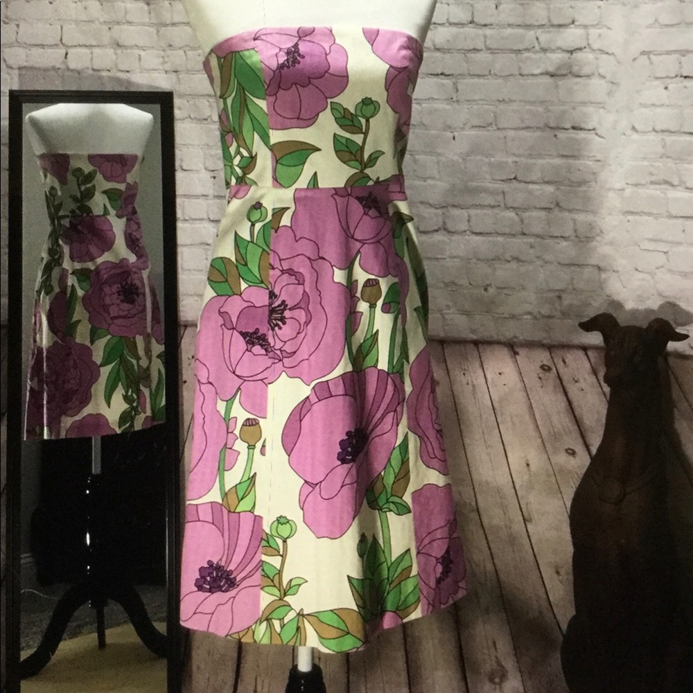 Banana Republic strapless  Poppy dress.
